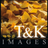 T&K Images – Fine Art Photography