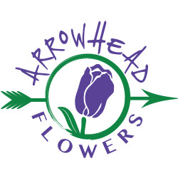 Arrowhead Flowers