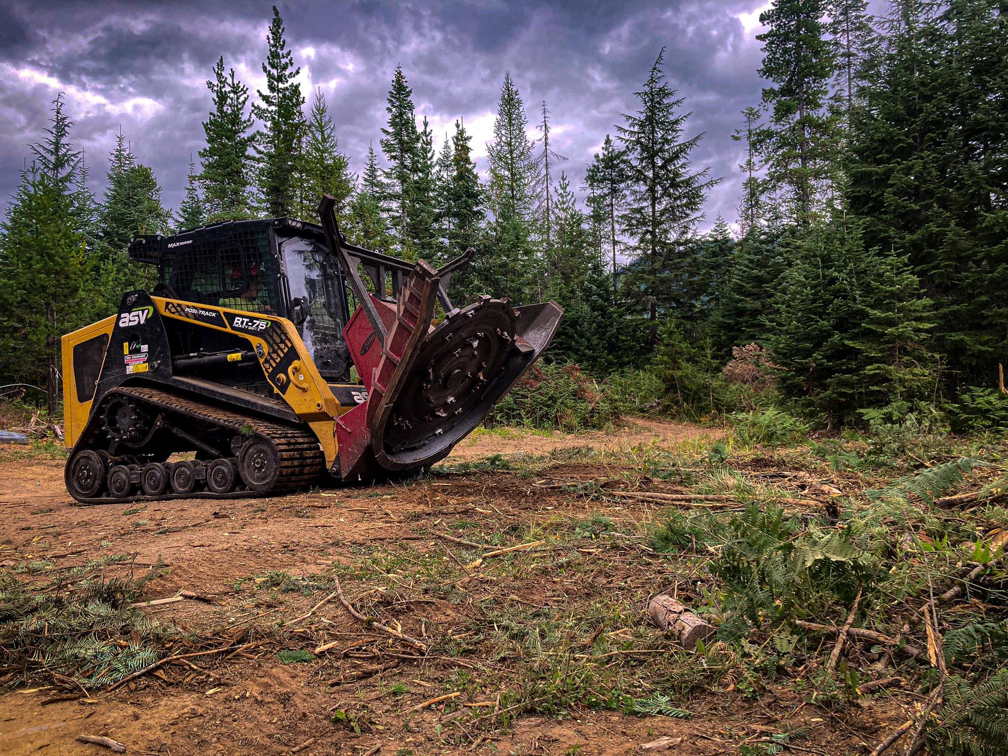 Backwoods Forestry and Excavation