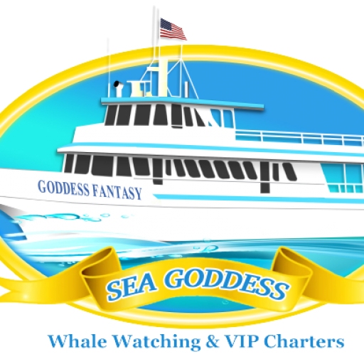 Sea Goddess Whale Watching