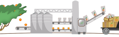 Catapult Commercialization Services