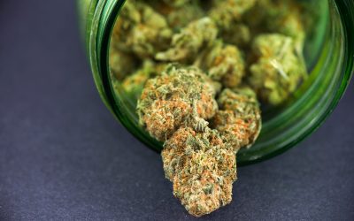 Kurators Dispensary