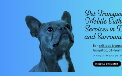 Pet Medical Transport