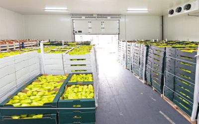Meat and Potatoes Organizing